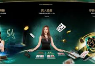 船长和赏金是cp吗-船长与赏金，一对独特的CP？船长和赏金是cp吗